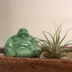 Meet your Posher, Suzie